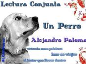 Ganador SORTEO perro, Alejandro Palomas