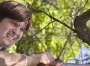 Descubre estas curiosidades soñar sierra.