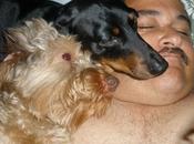 Dormir perros mejora calidad sueño