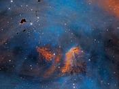Estrellas glóbulos nebulosa Pollo Corredor
