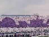 Ultima hora viola