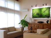 cuadro vegetal, ingeniosa manera para decorar casa