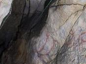 Covalanas, cueva cántabra muestra "escuela" arte hace miles años
