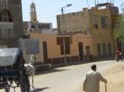 ¿qué semana dejas escudo defensa casa?