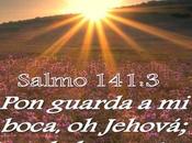 Palabras imprudentes