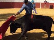 Indignación polémica españa brutalidad torero
