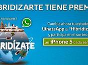 Whatsapp Marketing, alternativa redes sociales