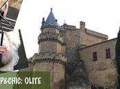 TRIP&amp;CHIC: OLITE
