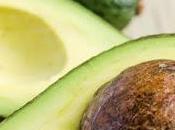 Cómo germinar aguacate