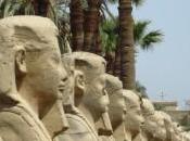 ¿cuántos vosotros conocéis descripción vuestro puesto trabajo?