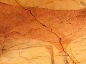 evolución humana explica compartición cultura tecnología