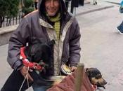 Antirrábico quita perros Sr.David tener hogar