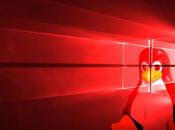 Encuentran rastros Linux Windows