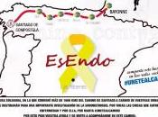 camino contigo: reto solidario comprometido endometriosis