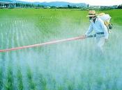 Pesticidas: industria enriquece, nuestros niños enferman