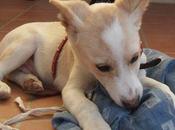 Guille... idiotez gente