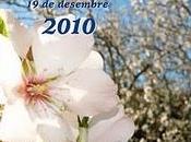 Feria almendra