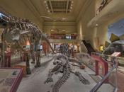 Museo Smithsonian Historia Natural visita virtual