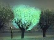 Glowing Plant proyecto busca sustituir farolas calles árboles bioluminiscentes