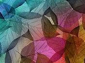 Muestras Mergusa domicilio