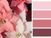 Rosa Cuarzo Color PANTONE 2016 Decoración/Interiorismo.