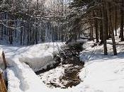 llegado pronto invierno...