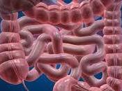 significado soñar intestinos.