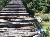 evolución pensamiento