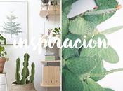 quedamos inspirarnos