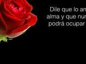 gustan visitas