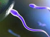 Crean esperma artificial partir células madre