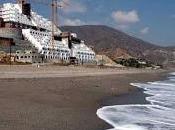 Algarrobito
