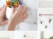 ideas handmade para decorar pared plantas