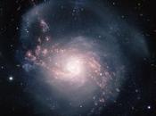 galaxia espiral starburst 3310 Gemini Norte
