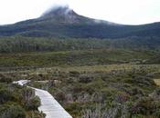 Trekking Tasmania