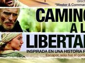 Camino libertad