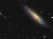 134, galaxia Escultor