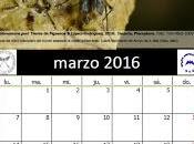 Calendario AeE-GEV. Marzo 2016