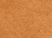 Passolini, poeta playa: ensayo sobre Pasolini