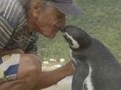 pingüino nada 8000 para visitar salvador.