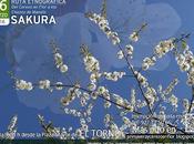 Ruta Etnográfica SAKURA. "Del Cerezo Flor Chozos Manolo"