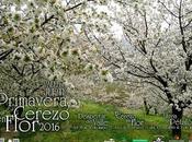 PROGRAMACIÓN COMPLETA. Primavera Cerezo Flor 2016