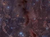 Nebulosas oscuras Taurus