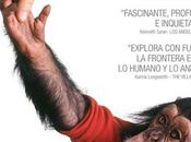 Proyecto