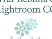 Borrar neblina Lightroom usos