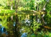 Internacional Bosques 2016: agua”