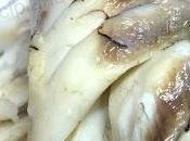 Corvina