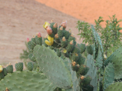 bienvenida primavera!!!