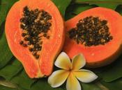 papaya, milagro natural para estómago