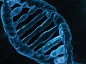 implante genéticamente modificado podría prevenir Alzheimer